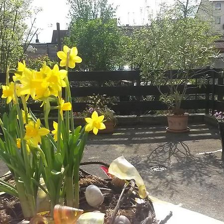 Eulennest-Lu Lägenhet Ludwigshafen am Rhein Exteriör bild