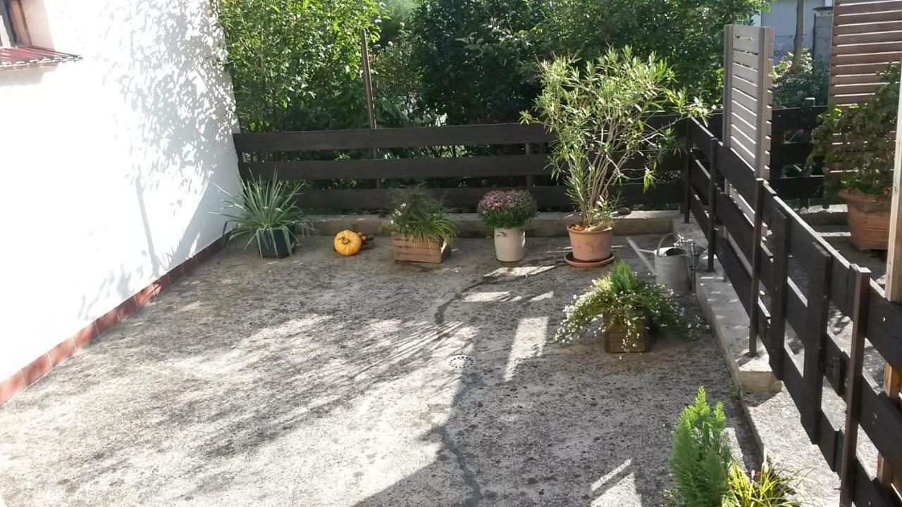 Eulennest-Lu Lägenhet Ludwigshafen am Rhein Exteriör bild